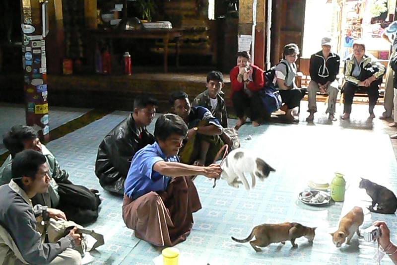 46 Monastero Nga Pha Kyaung lago Inle